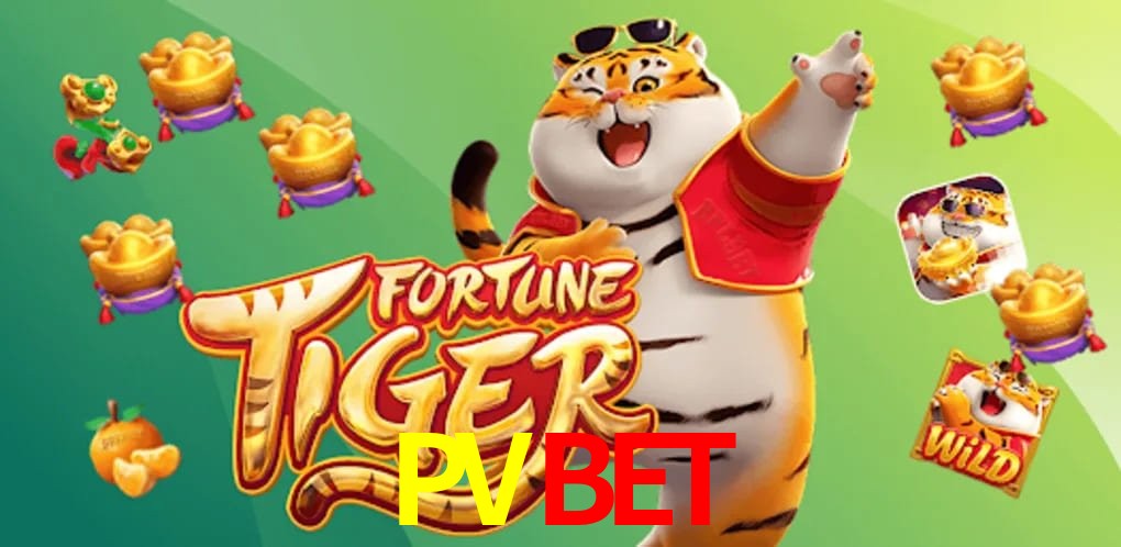 Security Systems PVBET